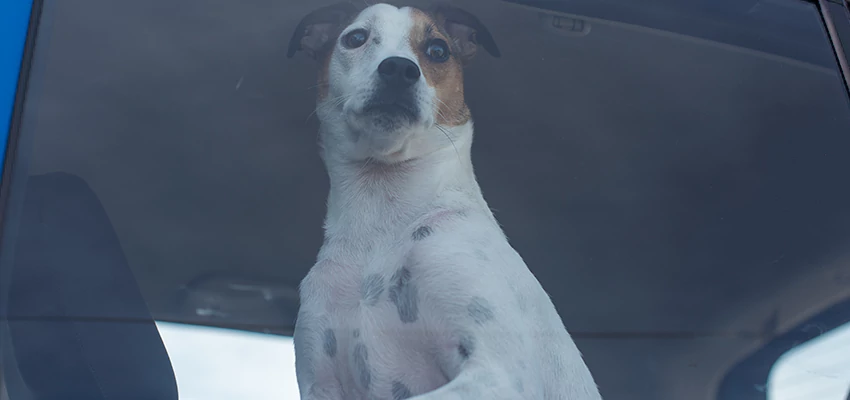 Car Lockout Solutions in Manhattan Beach, California